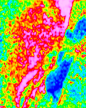 Image of the falcon derived vertical gravity gradient (terrain corrected using a density of 2.67gcc)